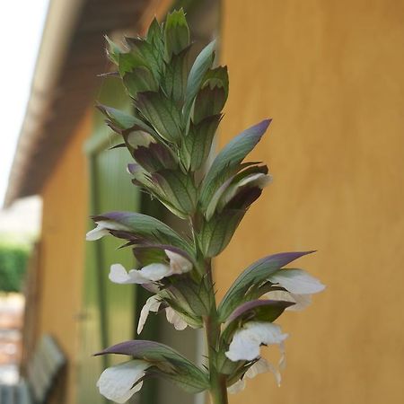 Le Petit Bacalan Mormoiron Exterior foto