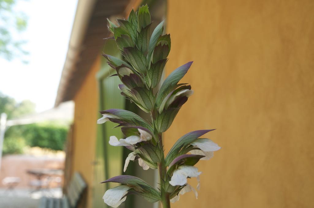 Le Petit Bacalan Mormoiron Exterior foto