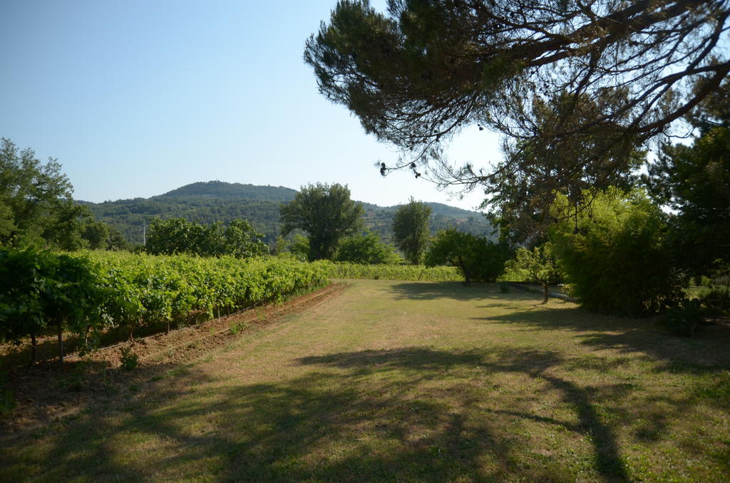 Le Petit Bacalan Mormoiron Quarto foto